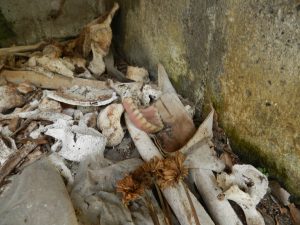 CEMENTERIO DONDE VA LLEVAR cementerio donde va llevar: