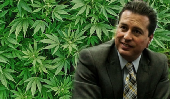 Senador Juan Manuel Galán consiguió su propósito de legalizar la droga