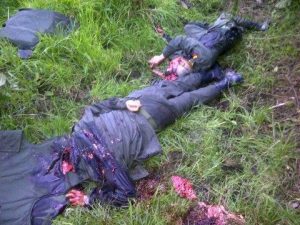 Coronel Ruiz y patrullero Marmolejo, asesinados a sangre fría por los bandidos de las farc